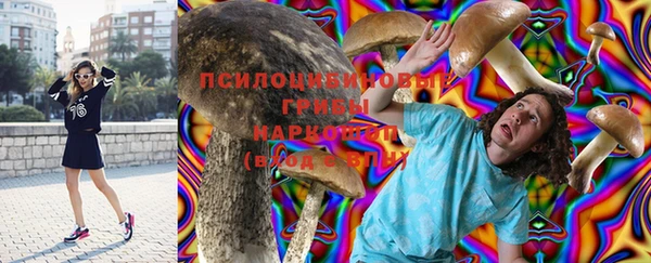 индика Белоозёрский