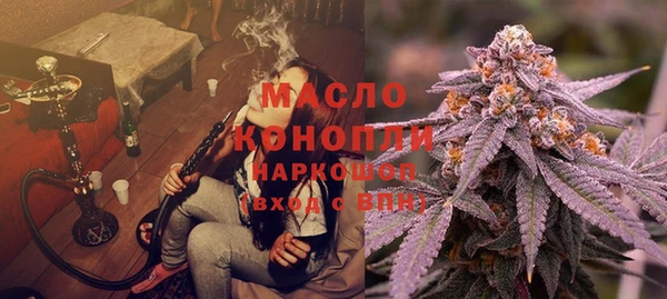 индика Белоозёрский
