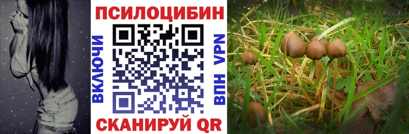 Псилоцибиновые грибы ЛСД  Олёкминск 